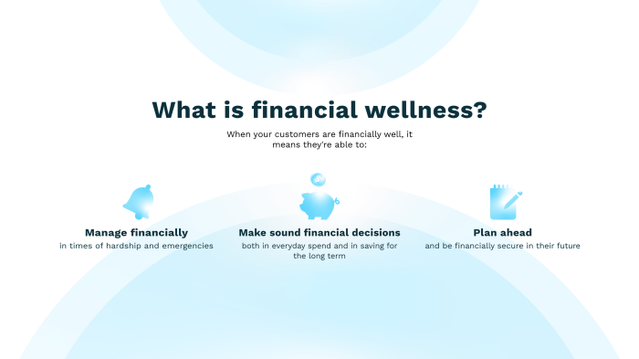 Mastering Financial Wellness: A Comprehensive Guide to Achieving ...